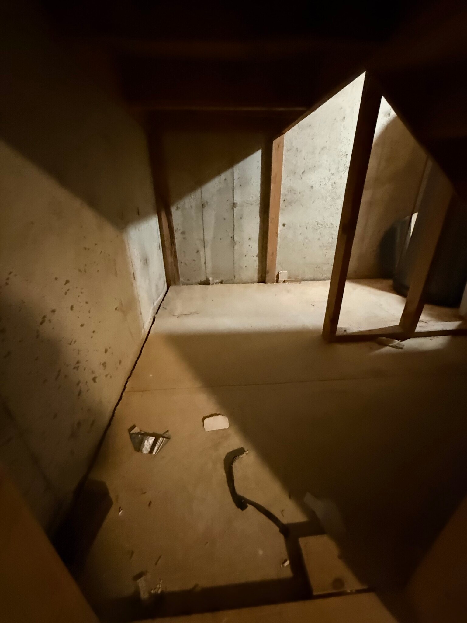 Building Photo - 12 Paynter St