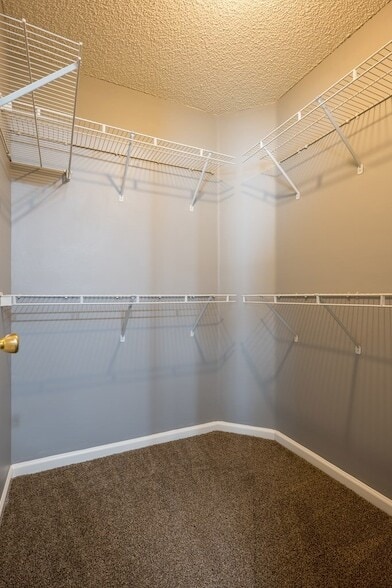 Building Photo - 4123 Sedgwyck Ln