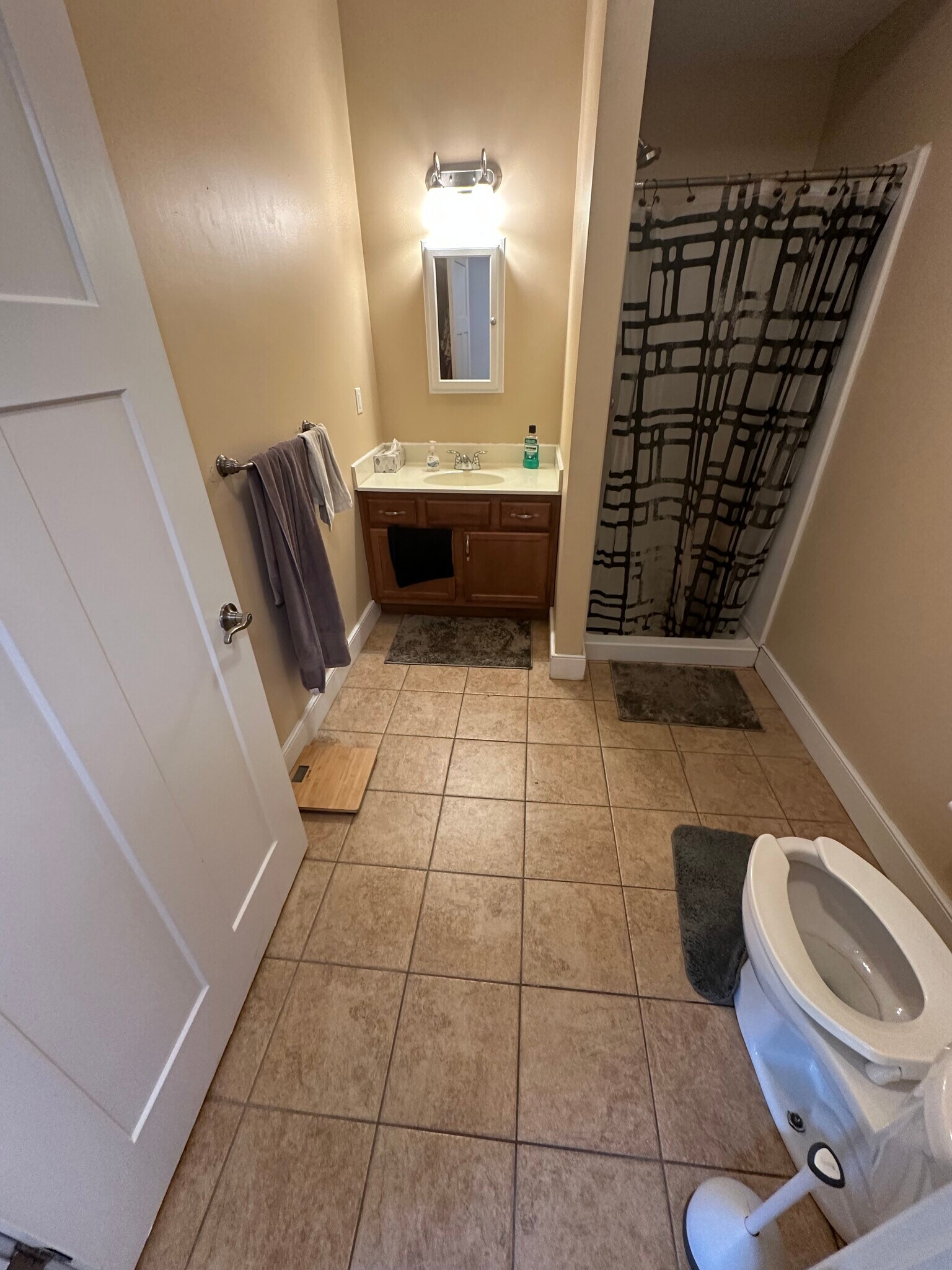 Downstairs Bath - 2283 Loth St