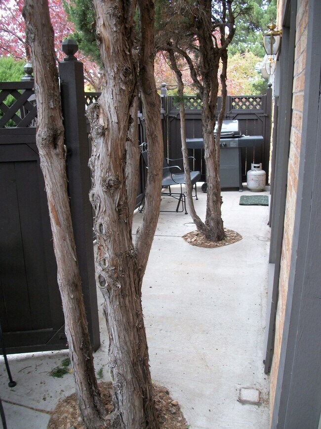 Building Photo - RENT SPECIAL & LEASE OPTIONS! Cat-friendly...