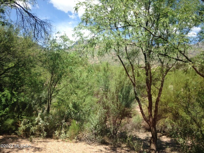 Building Photo - 5751 N Kolb Rd