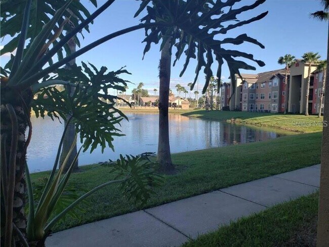 Building Photo - 4105 Tropical Isle Blvd
