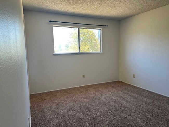 Building Photo - New LVP & Carpet! Great Anderson location!