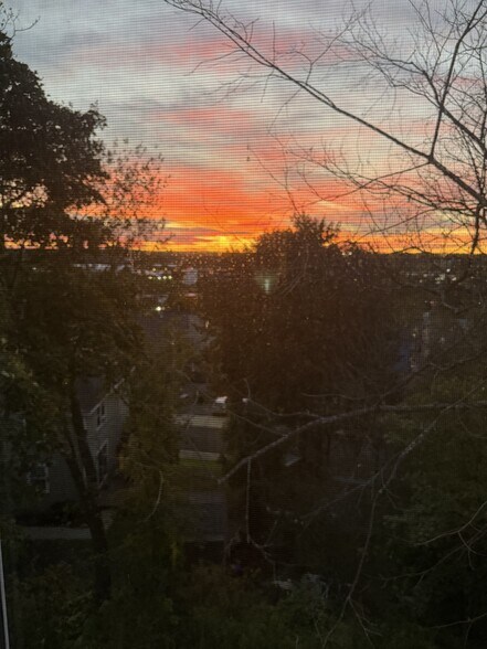 Kitchen Views at Sunset - 16 Tecumseh Street