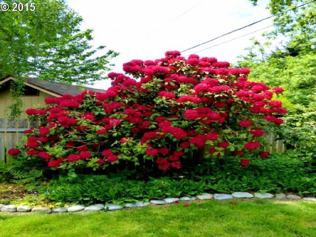 Building Photo - 3 Bedroom Home in a Flourishing Garden Property