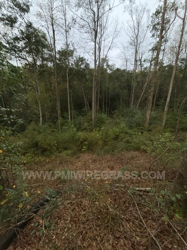 Building Photo - 214 Brookside Ln