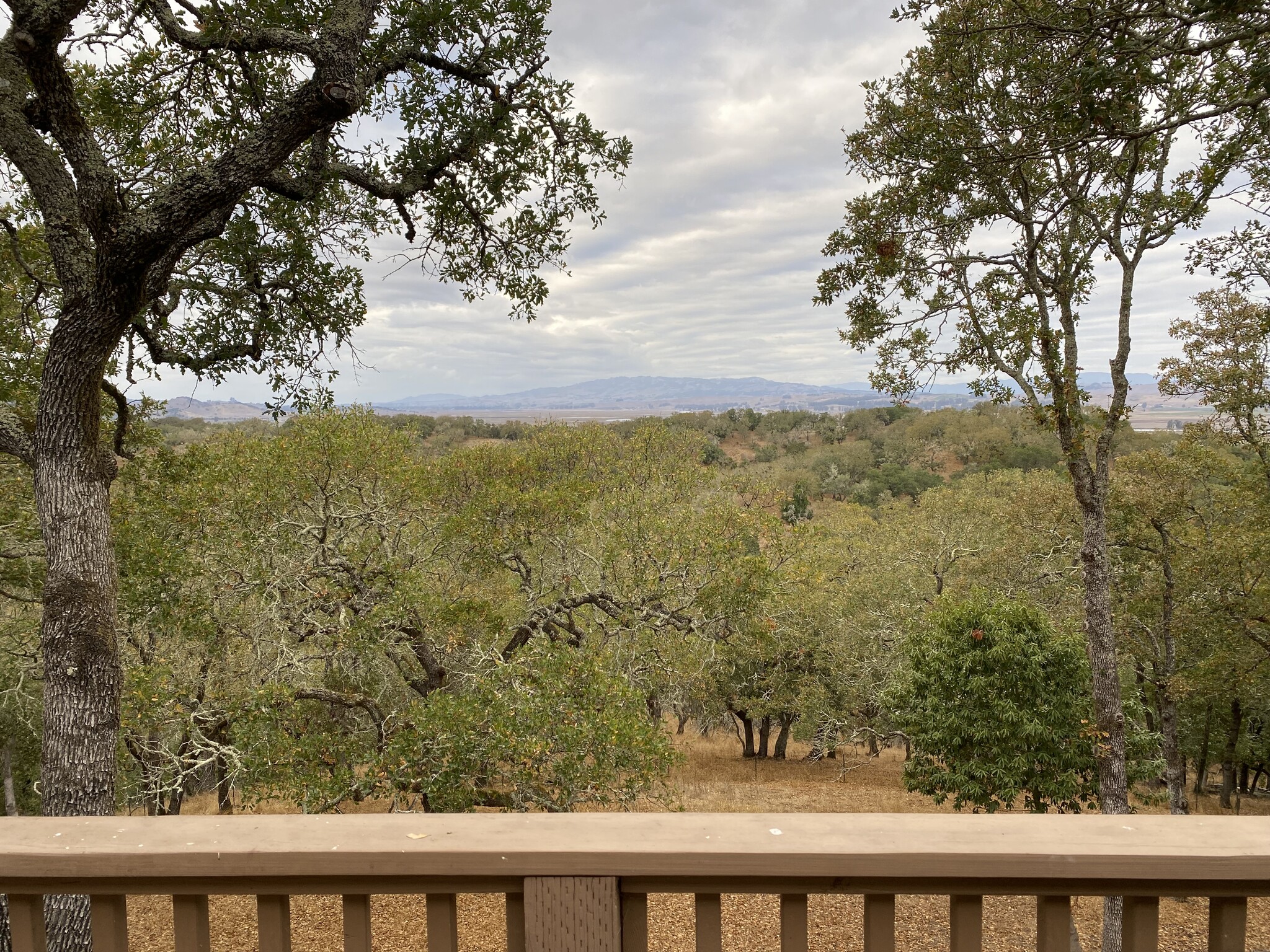 Building Photo - 2512 Laguna Vista Dr