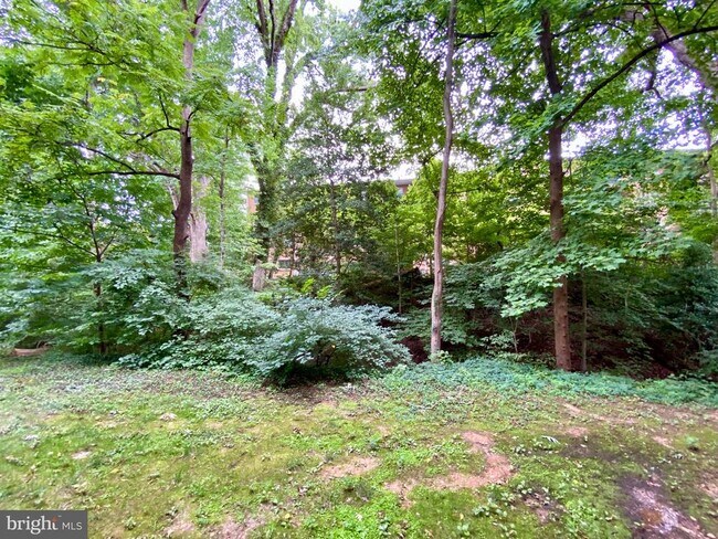 Building Photo - 1533 Colonial Dr