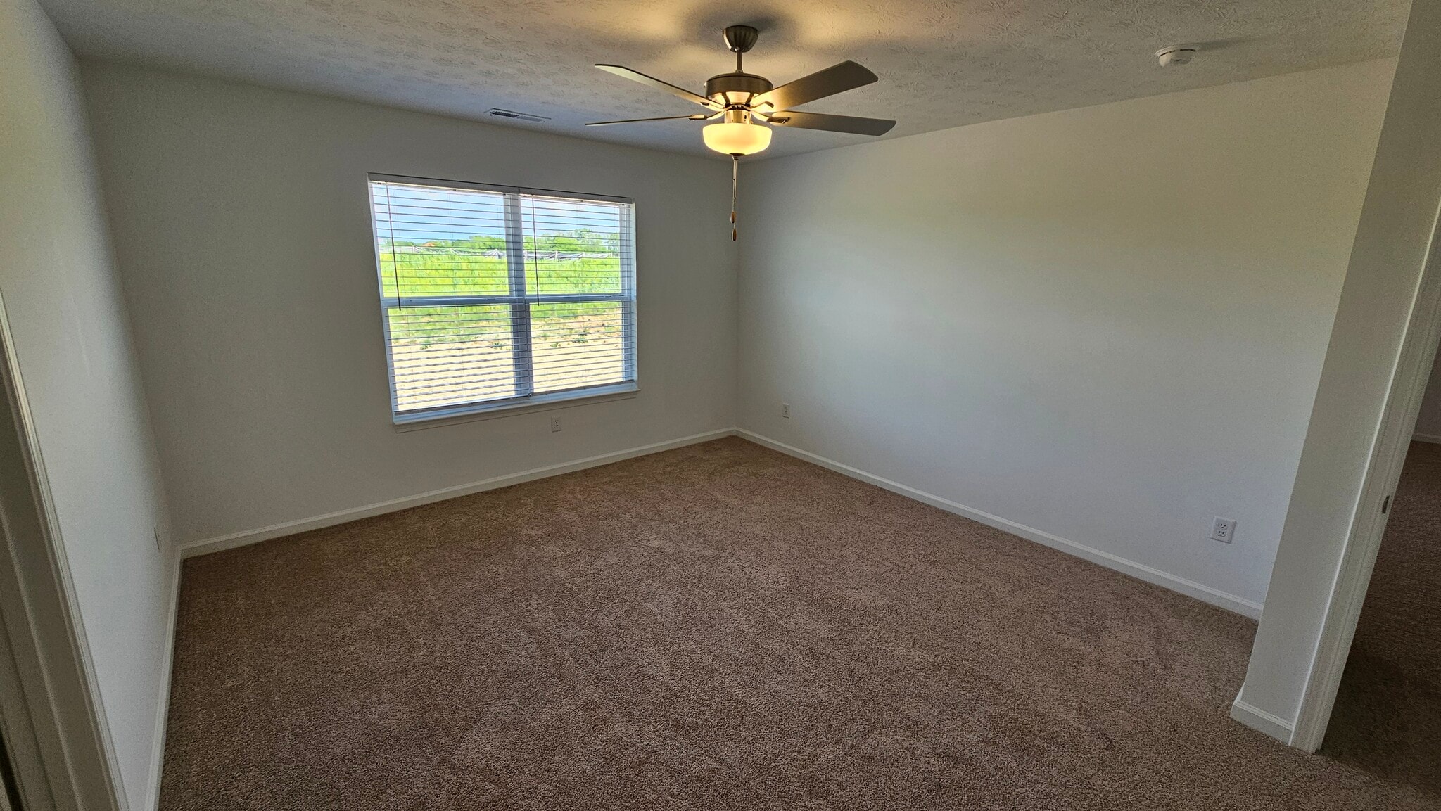 Primary Bedroom - 4209 Tingle Dr