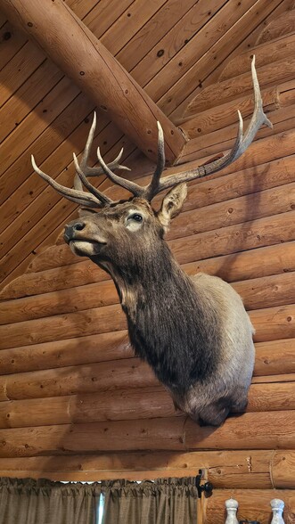 Building Photo - 6085 Coffeen Ave