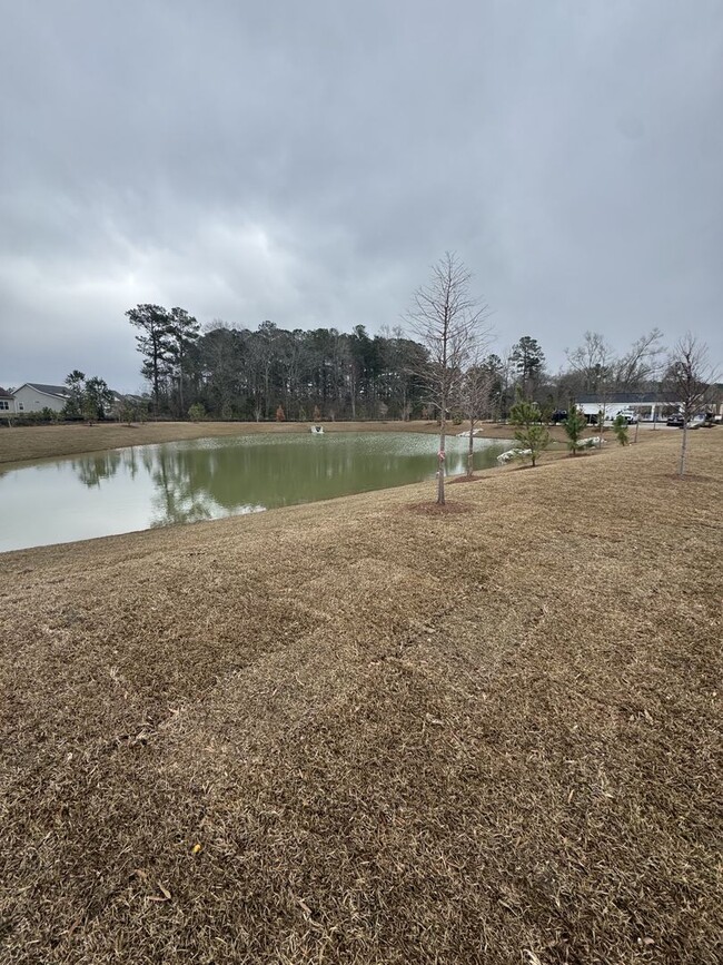 Building Photo - Gorgeous New 3-Bedroom, 3-Bath Townhome in...