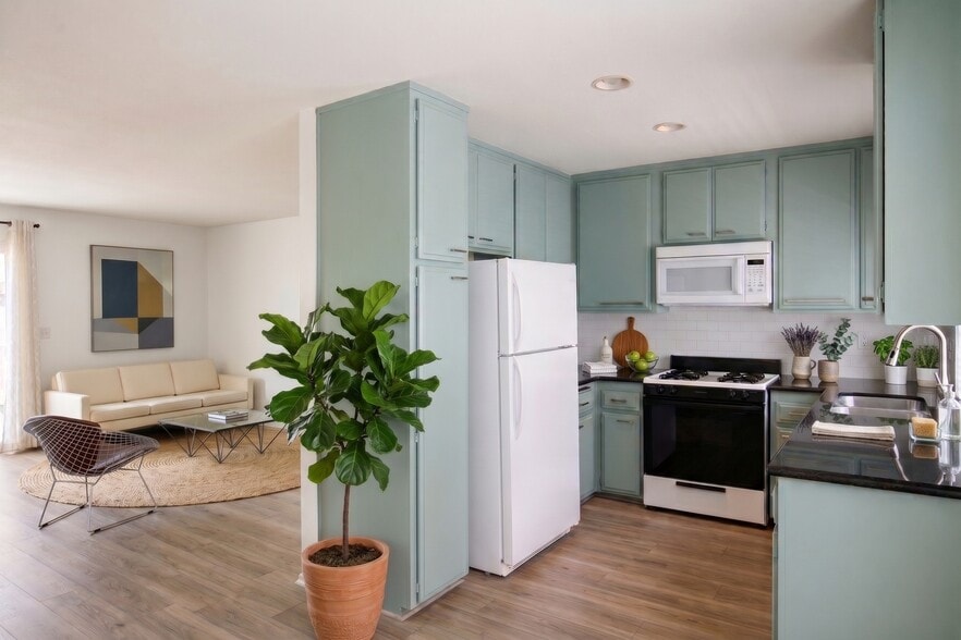 Kitchen - 177 Douglas St