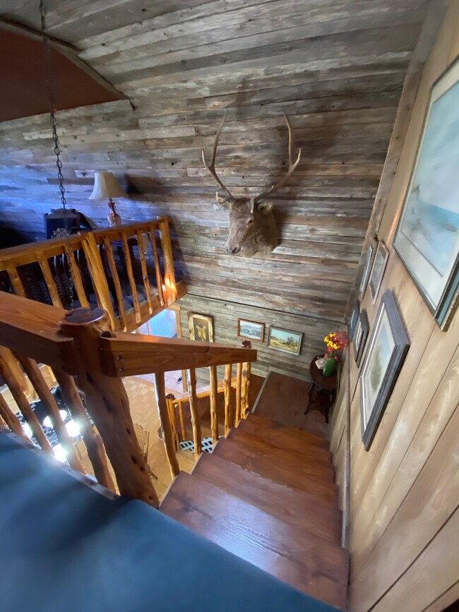 Building Photo - 297 Little River Ln