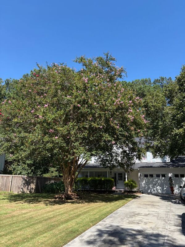 Building Photo - 3212 Rose Walk Ct
