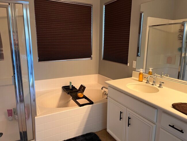 Master Bathroom/Tub - 1552 Shadow Hill Trl