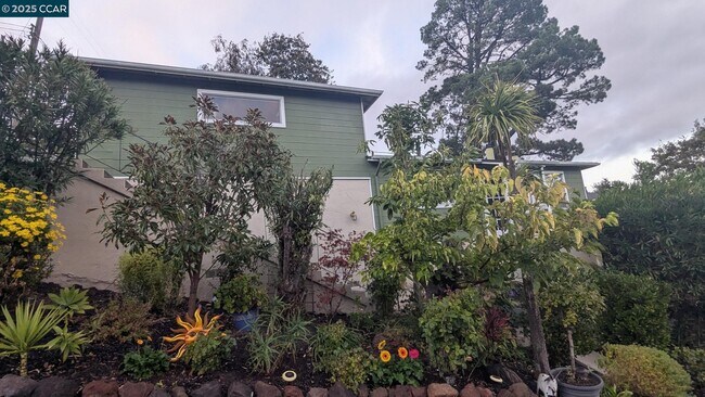 Building Photo - 1672 Terrace Road,Walnut Crk