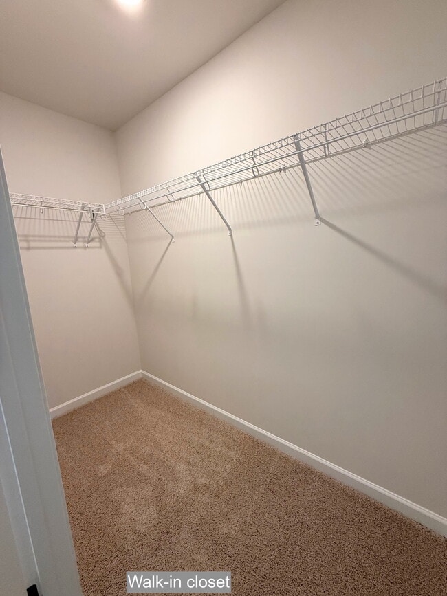 Building Photo - 313 Cherry Laurel Dr