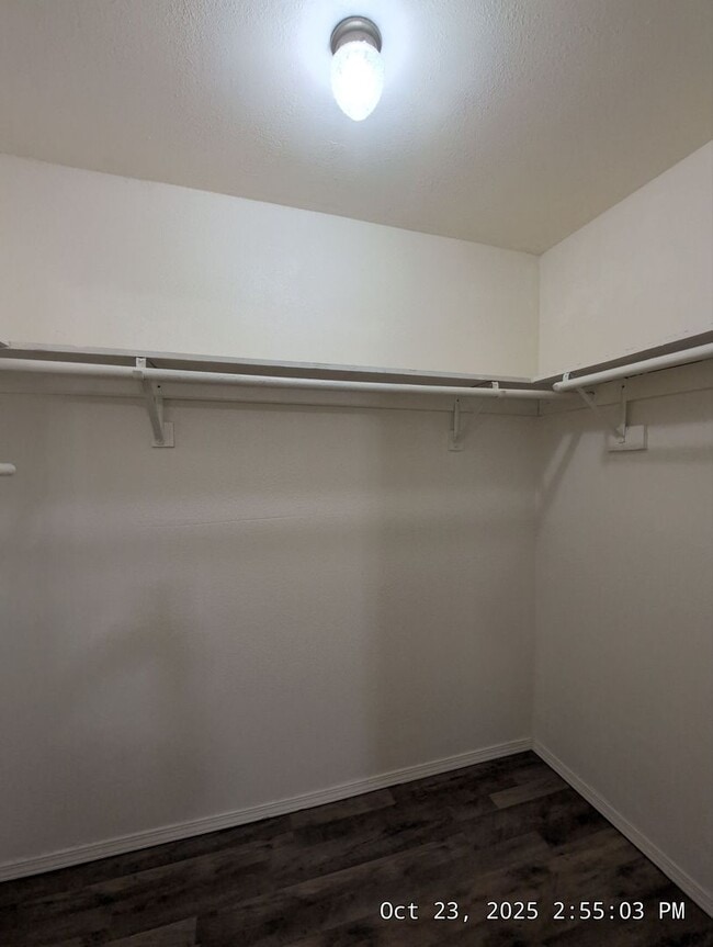 Building Photo - Welcome to your new cozy, immaculate and spacious home!