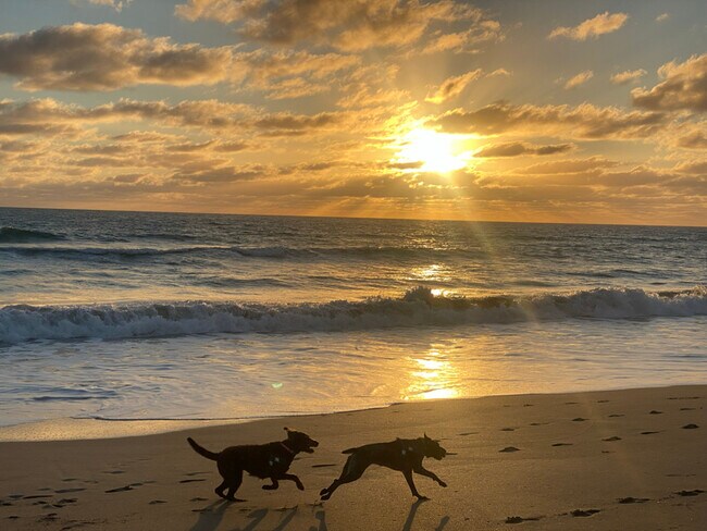 Building Photo - 1456 NE Ocean Blvd