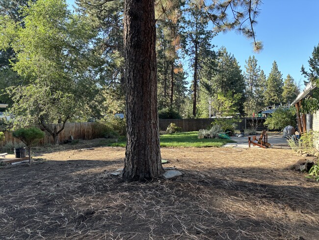 Building Photo - Peaceful Southwest Ranch Near Deschutes River