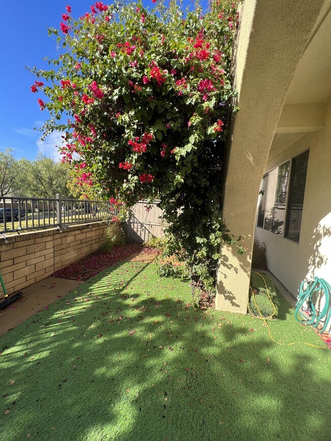 Building Photo - 2694 Bellezza Dr
