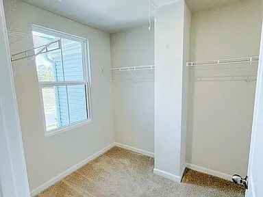 Building Photo - 130 Elyse Overlook Lp