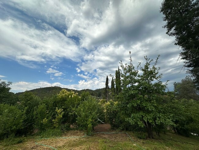 Building Photo - 2/1 HOME WITH BEAUTIFUL VIEWS