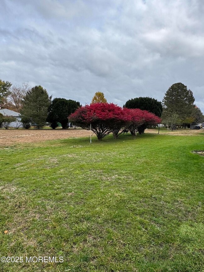 Building Photo - 515 Jamaica Blvd