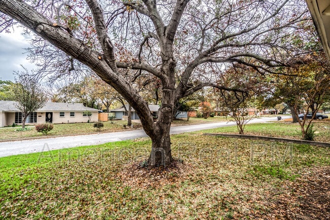 Building Photo - 1954 Mims St