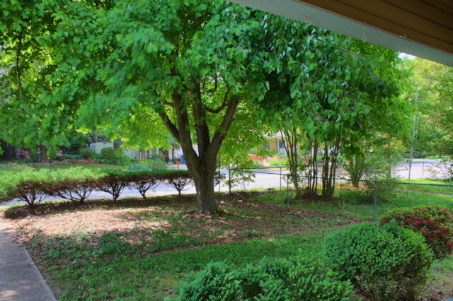Building Photo - Charming 2 bedroom, 1 bath bungalow with fenced yard in Lakewood