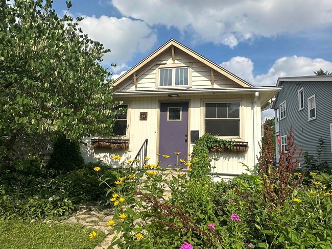 Primary Photo - 37 Corry St