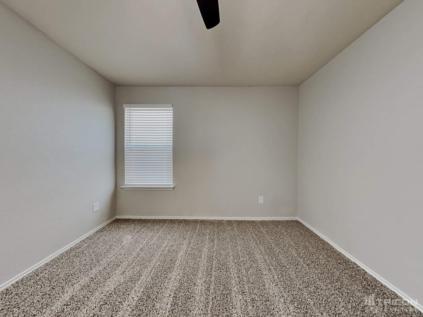 Building Photo - 214 Tallow Trl