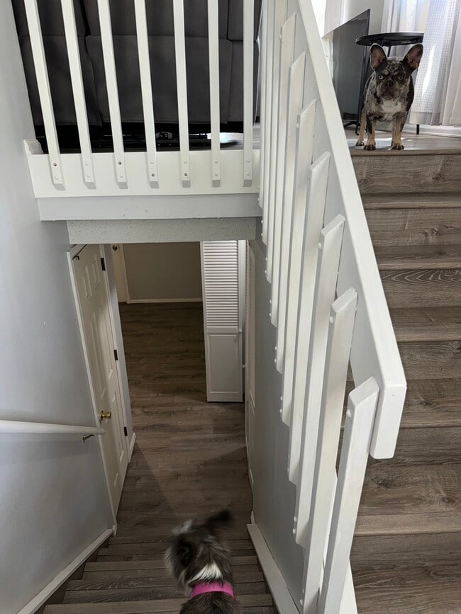 Building Photo - 4666 Witches Hollow Ln