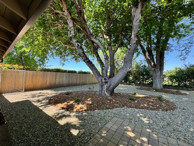 Building Photo - Remodeled home with a view