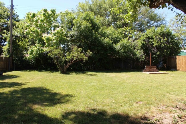 Backyard - 6001 W Denton St