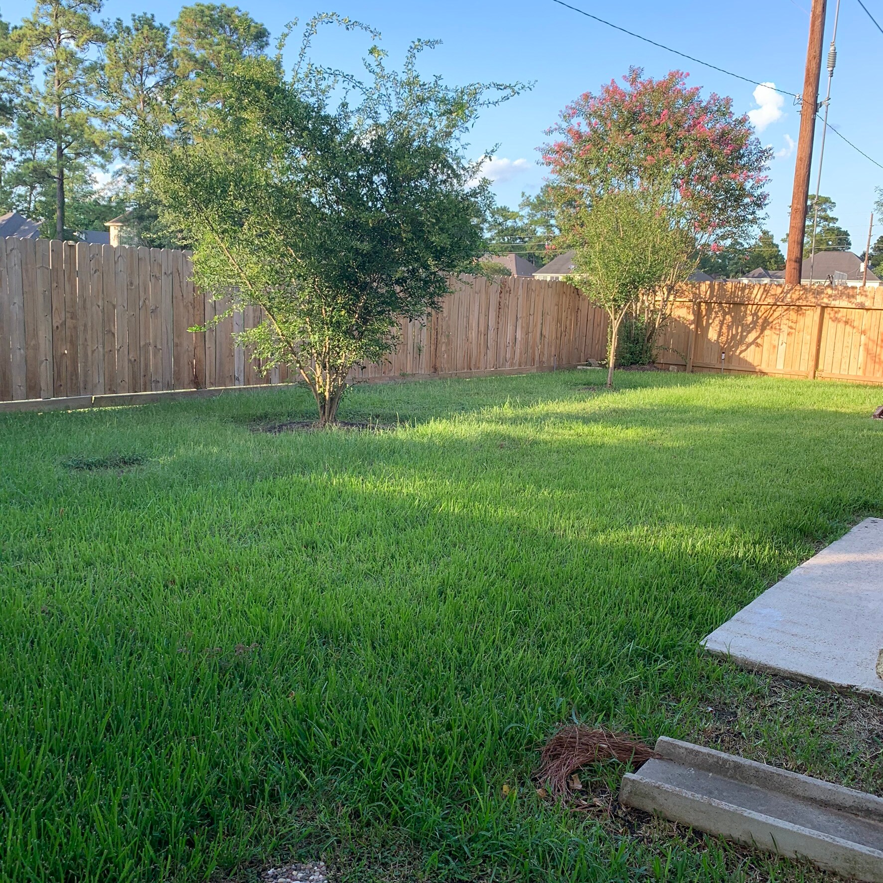 Building Photo - 8802 Sunny Point Dr