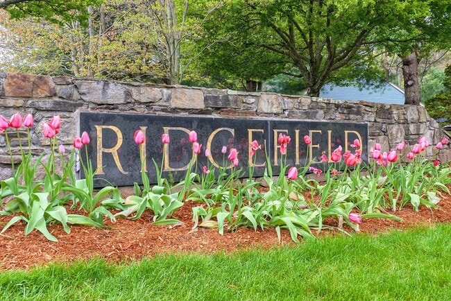 Building Photo - 313 Ridgefield Cir