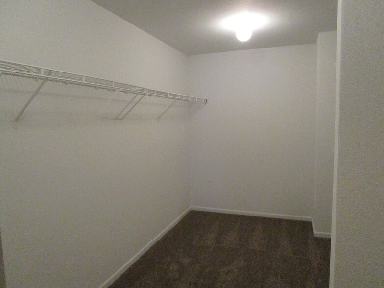 Building Photo - 2890 Sentiment Ln