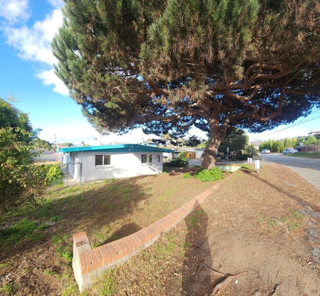 Building Photo - Cuesta By the sea cottage for Rent! Close ...