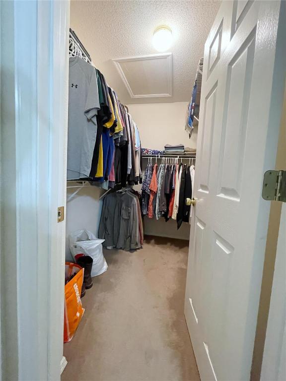 Building Photo - 335 Moultrie Ln