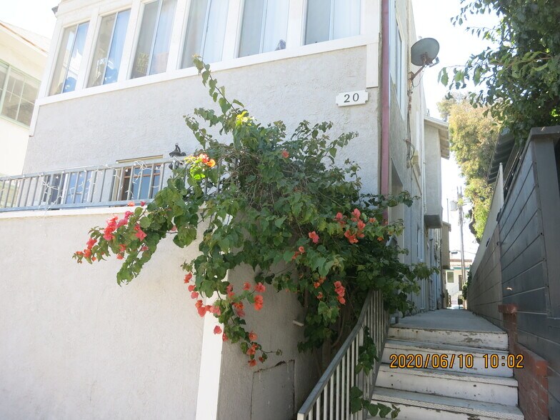 Building Photo - 20 Rose Ave