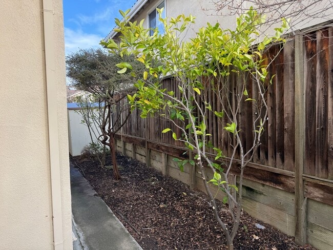 Building Photo - 212 Montevideo Cir