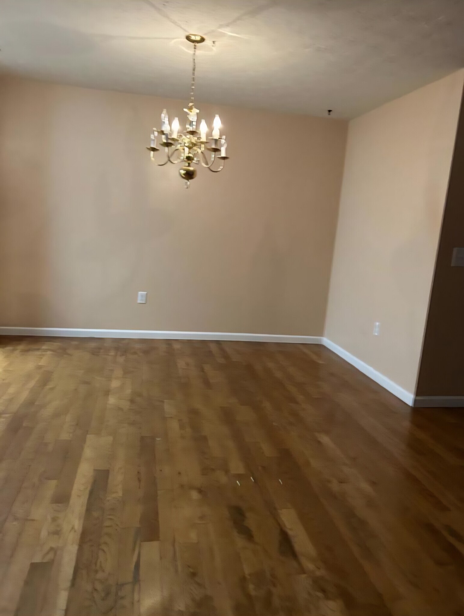 Building Photo - 233 Legends Creek Pl