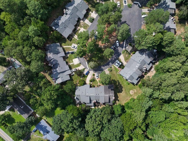 Building Photo - 3606 Top of the Pines Ct