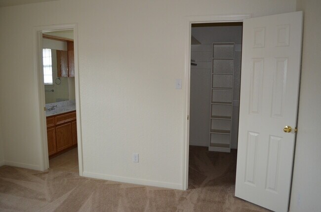 Building Photo - 913Daisy