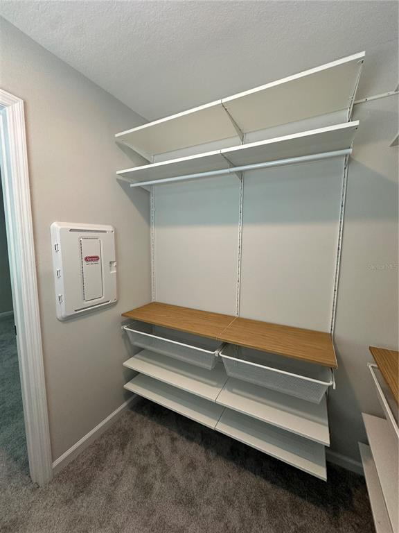 Building Photo - 4409 Campsite Lp