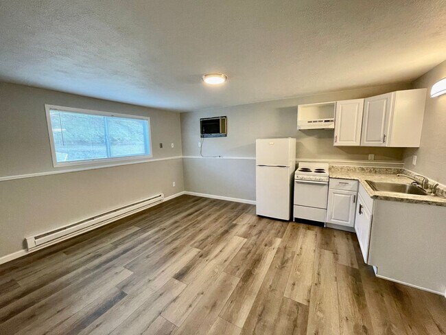 Building Photo - Beautifully Remodeled 1-Bedroom!