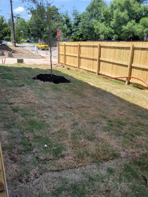 Back Yard - 1010 Chulie Dr