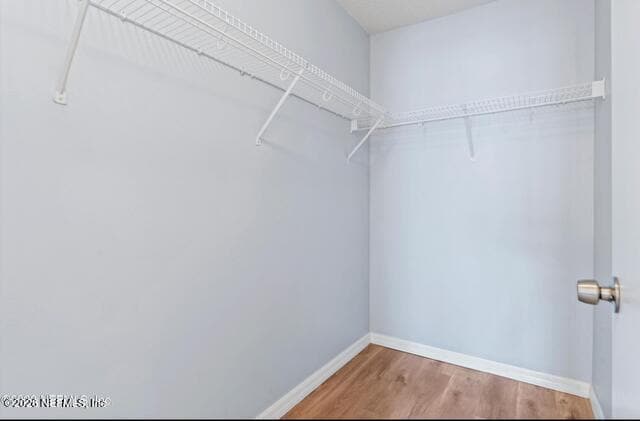 Building Photo - 519 DRY BRANCH Way