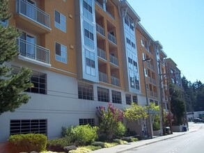 Building Photo - Beautiful Studio in Downtown Bellevue!